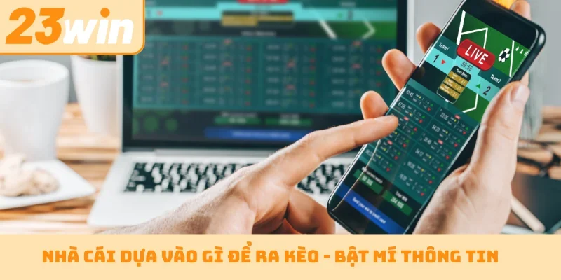 Nhà cái dựa vào gì để ra kèo